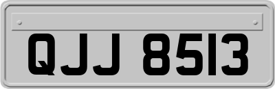 QJJ8513