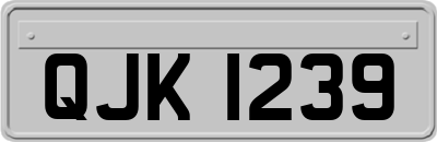 QJK1239