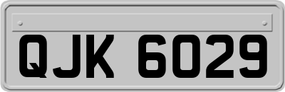 QJK6029