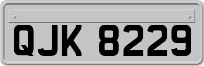 QJK8229