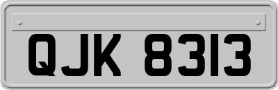 QJK8313