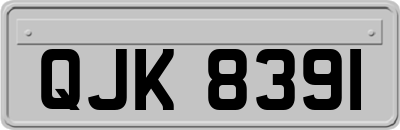 QJK8391