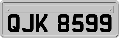 QJK8599