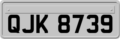 QJK8739