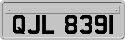 QJL8391