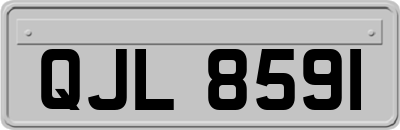 QJL8591