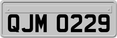 QJM0229