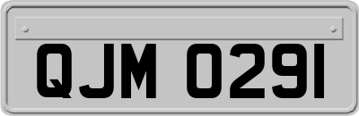 QJM0291