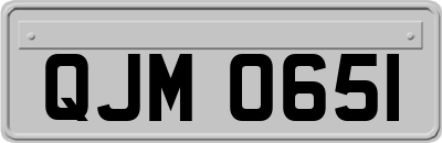 QJM0651