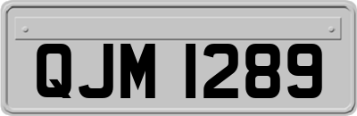 QJM1289