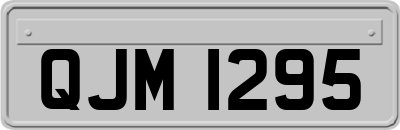 QJM1295