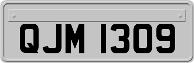 QJM1309