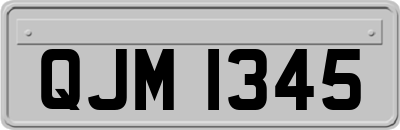 QJM1345