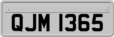 QJM1365