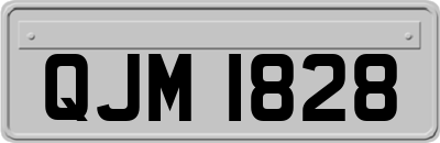 QJM1828
