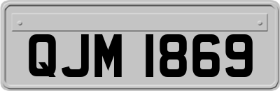 QJM1869