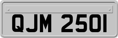 QJM2501