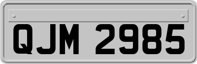 QJM2985
