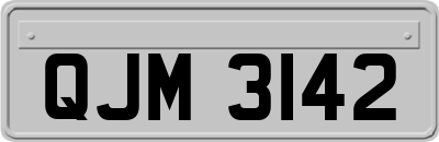 QJM3142