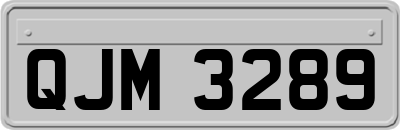 QJM3289