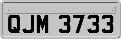 QJM3733