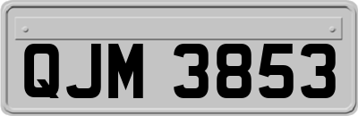 QJM3853