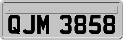 QJM3858
