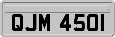 QJM4501
