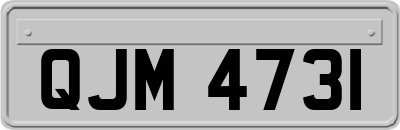 QJM4731
