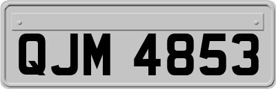 QJM4853