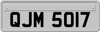 QJM5017