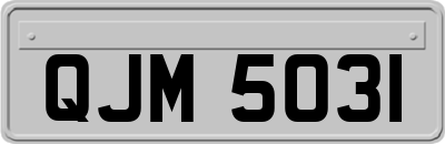 QJM5031