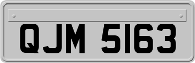 QJM5163