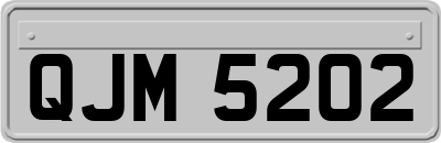 QJM5202