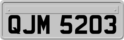 QJM5203