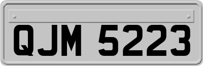 QJM5223