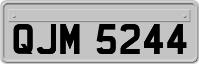 QJM5244