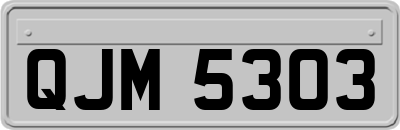 QJM5303