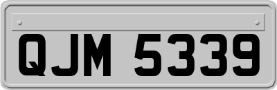 QJM5339