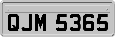 QJM5365