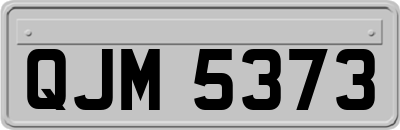 QJM5373