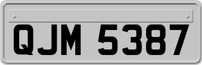 QJM5387