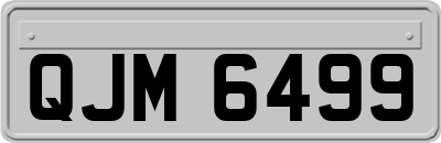 QJM6499