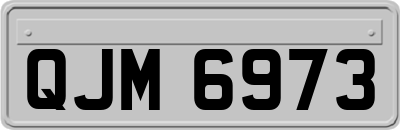 QJM6973