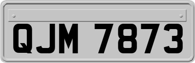QJM7873