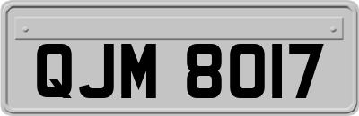 QJM8017
