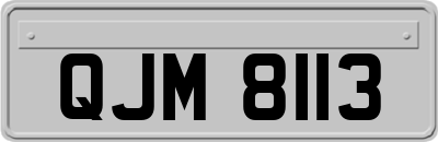 QJM8113