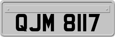 QJM8117