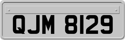 QJM8129
