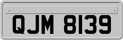 QJM8139